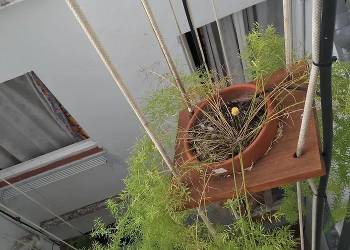 エル シド シッチェス